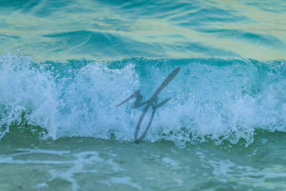 Olas